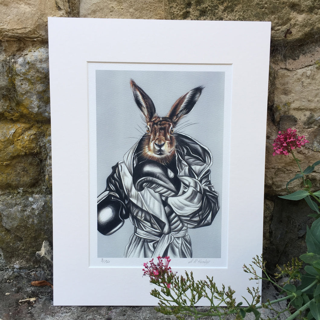 BOXING HARE Limited Edition Print